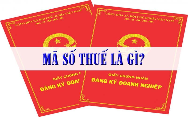 Mã số thuế tiếng Anh là gì? Cấu trúc và các loại mã số thuế tại Việt Nam